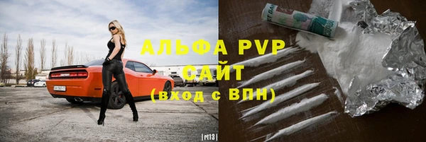 ГАЛЛЮЦИНОГЕННЫЕ ГРИБЫ Вяземский