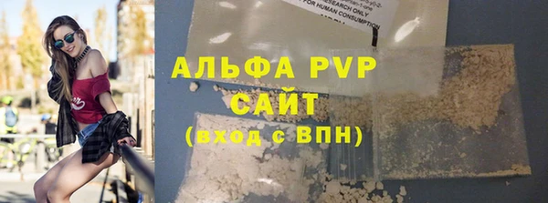 ГАЛЛЮЦИНОГЕННЫЕ ГРИБЫ Вяземский