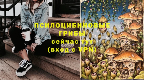 хмурый Вязники