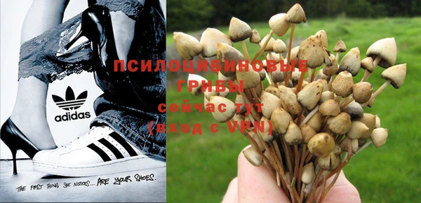 ГАЛЛЮЦИНОГЕННЫЕ ГРИБЫ Володарск