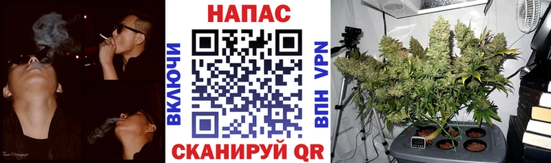 Шишки марихуана тримм  Каменногорск 